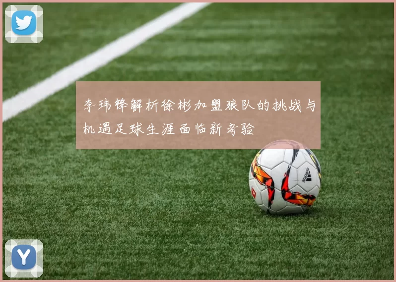 李玮锋解析徐彬加盟狼队的挑战与机遇足球生涯面临新考验